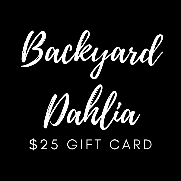 $25.00 Gift Card