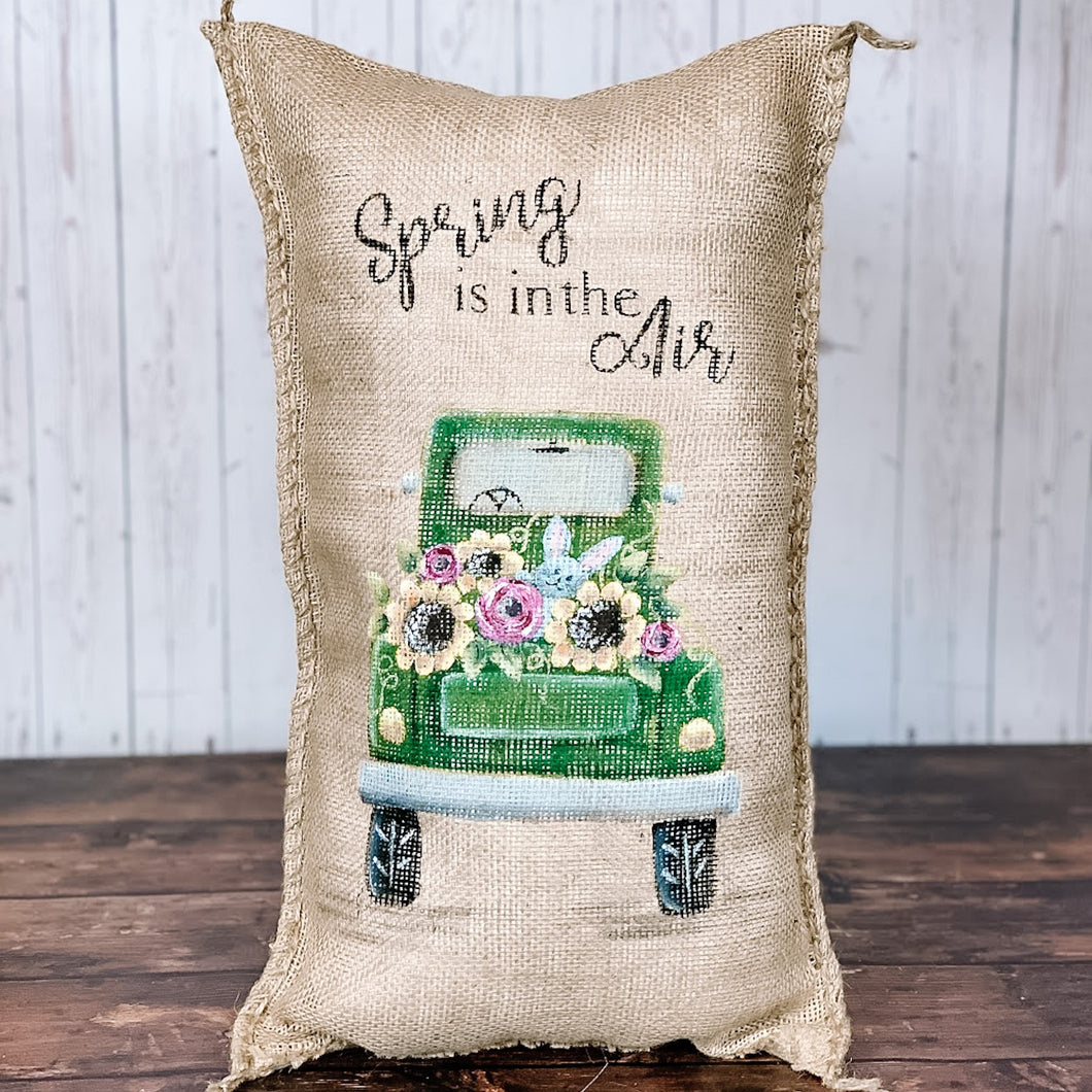 Spring is in the air pillow