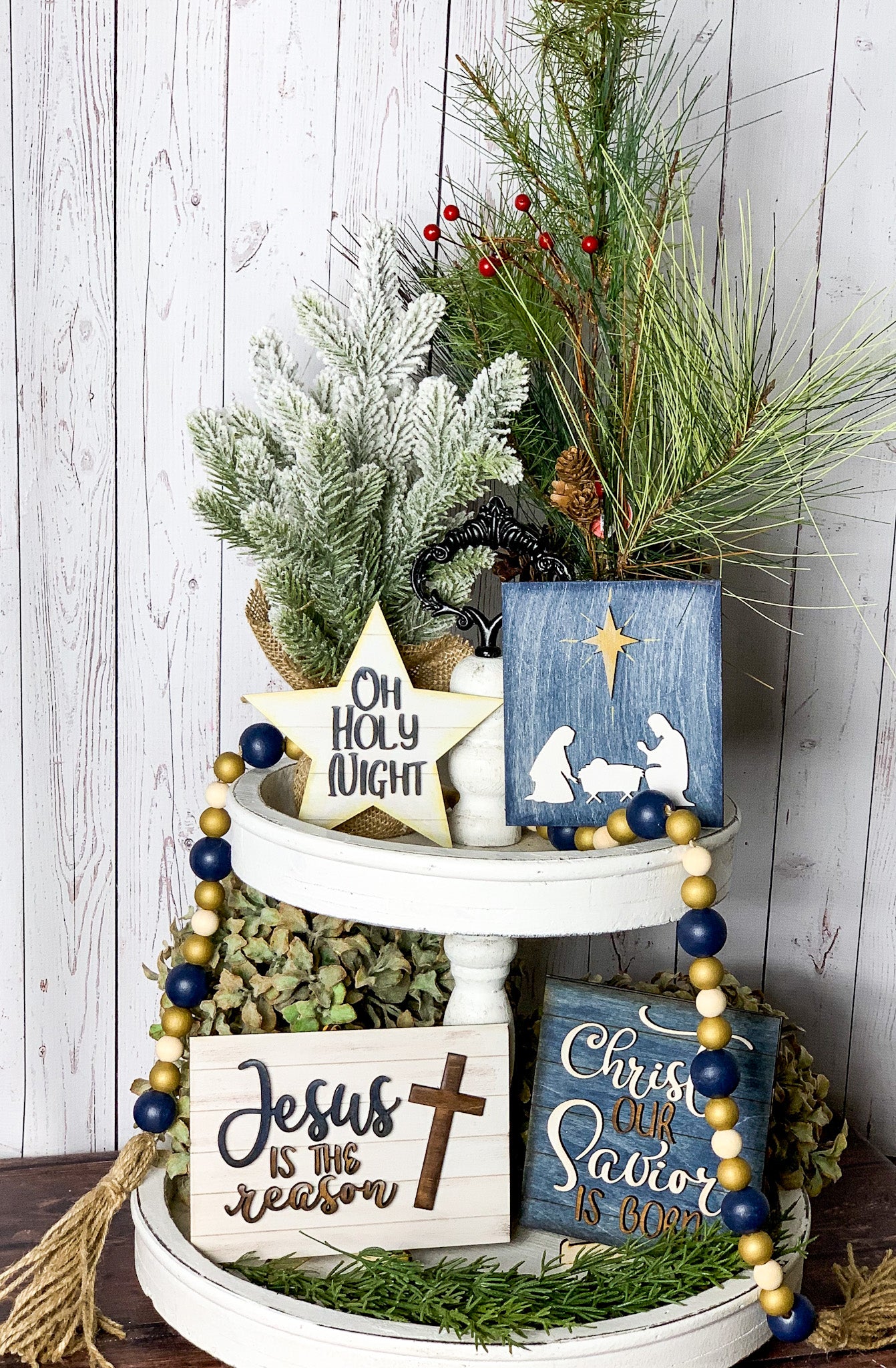Christ our Savior is born